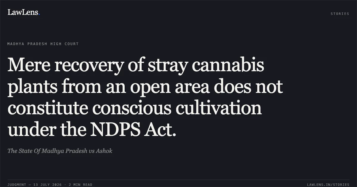 Mere recovery of stray cannabis plants from an open area does not constitute conscious cultivation under the NDPS Act.. The State Of Madhya Pradesh vs Ashok. Madhya Pradesh High Court. LawLens